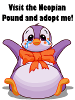 Visit the Neopian Pound